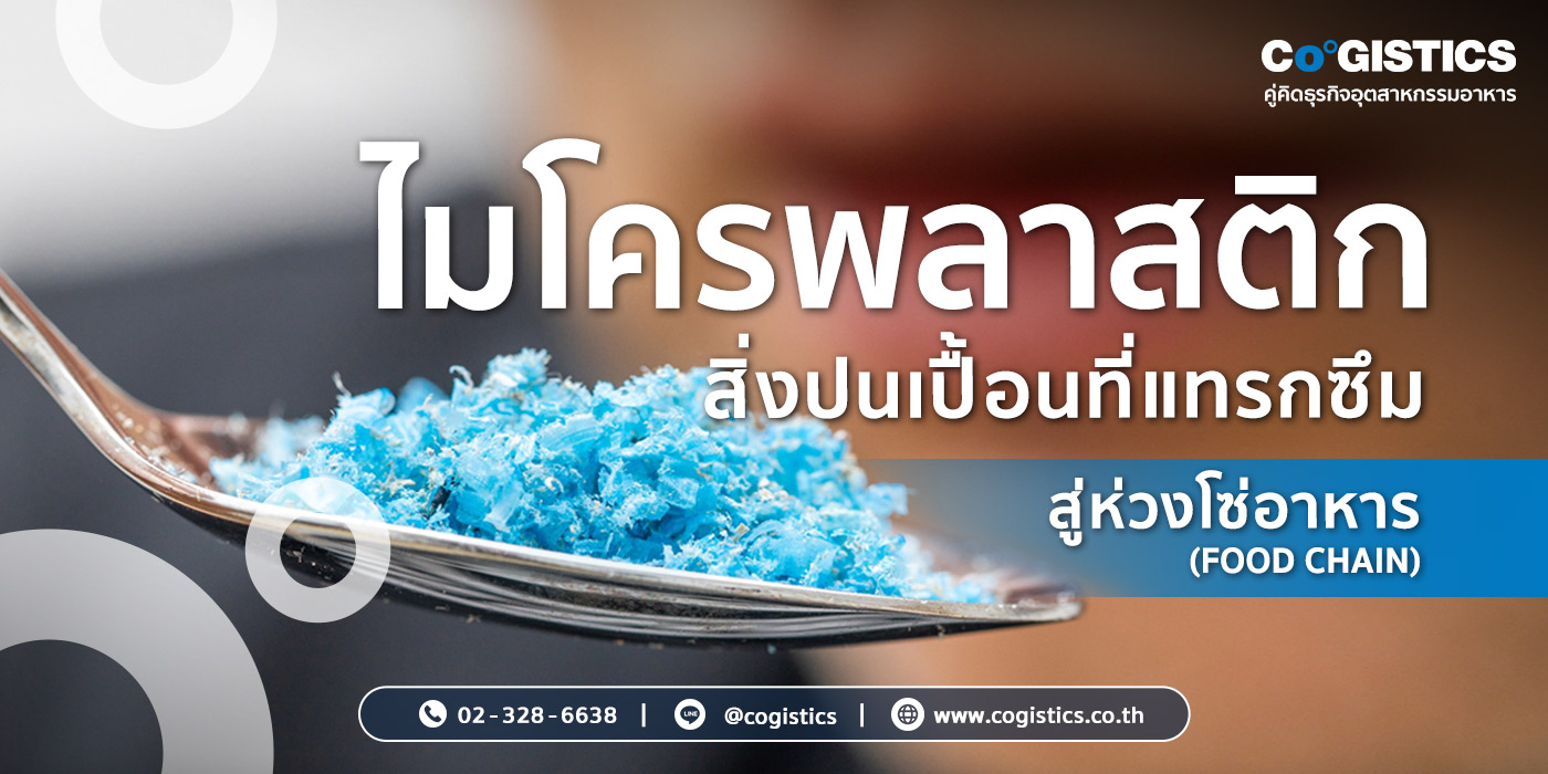 31-JUL-2024-ปก-1